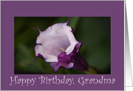 Birthday, Grandma, Angel’s Trumpet card