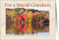 Birthday Grandson, Beauty of Autumn card