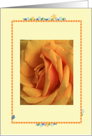 Blank Card, yellow rose card