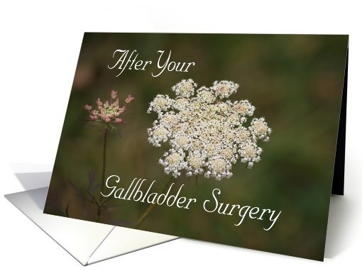 Gallbladder Surgery, Queen Anne's Lace card (538620)