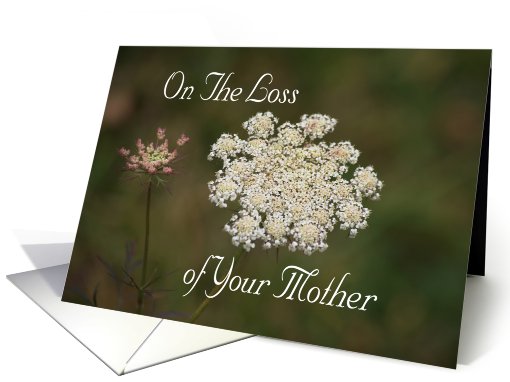 Loss of Mother, Sympathy, Queen Anne's Lace card (538674)
