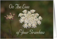 Loss of Grandma, Sympathy, Queen Anne’s Lace card