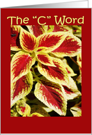 For Cancer Patients, Bright Coleus card