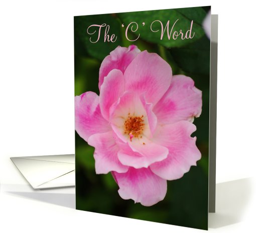 'C' Word, cancer recovery, pink rose card (609567)