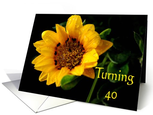 40th Birthday, yellow Gazania card (610687)