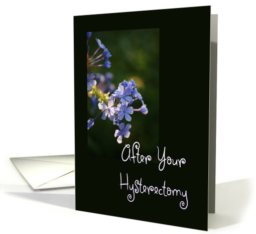After Your Hysterectomy, tiny purple blooms card (639176)