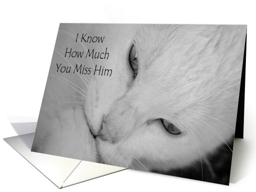 Sympathy for death of cat, sweet white cat with paw up card (751720)