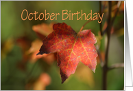 October Birthday, bright fall leaf card