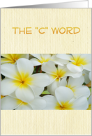 The C Word, cancer survivors get well, white & yellow blooms card