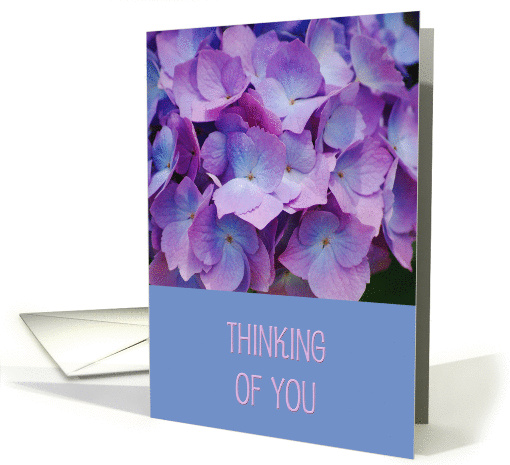 Thinking of You, beautiful Hyacinth blooms card (981261)