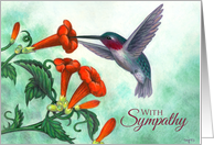 With Sympathy Hummingbird with Trumpet Creeper card