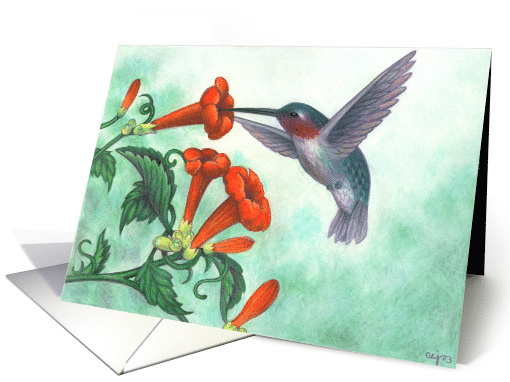 Blank/Any Occasion Hummingbird with Trumpet Creeper card (244665)