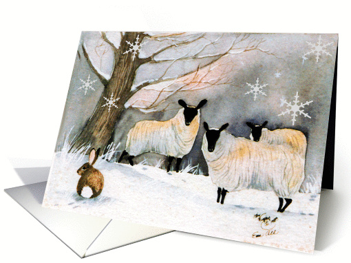 Christmas Sheep card (250785)