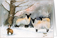 Christmas Sheep card