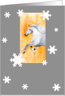 Christmas horse card
