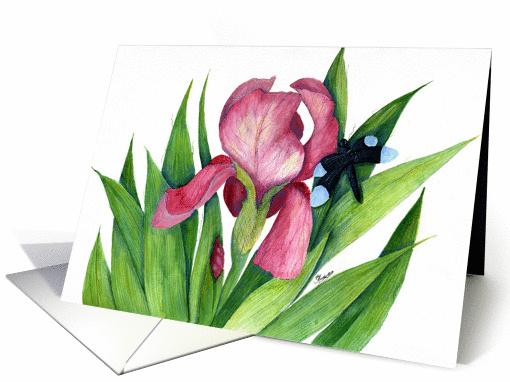 Iris and dragonfly card (371399)