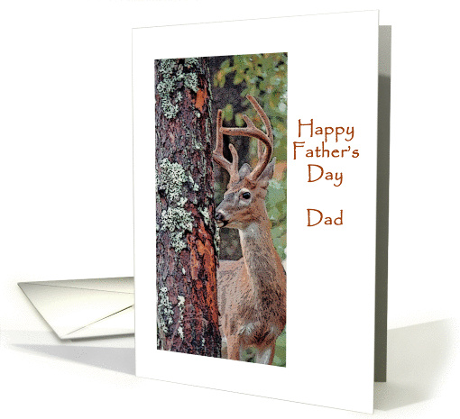 Father's Day card (375771)