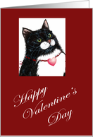 Valentine Cat card