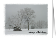 Winter’s Here! Merry Christmas card