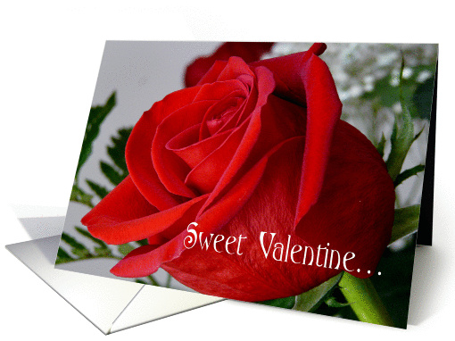 Sweet Valentine-Deep Red Rose card (355573)