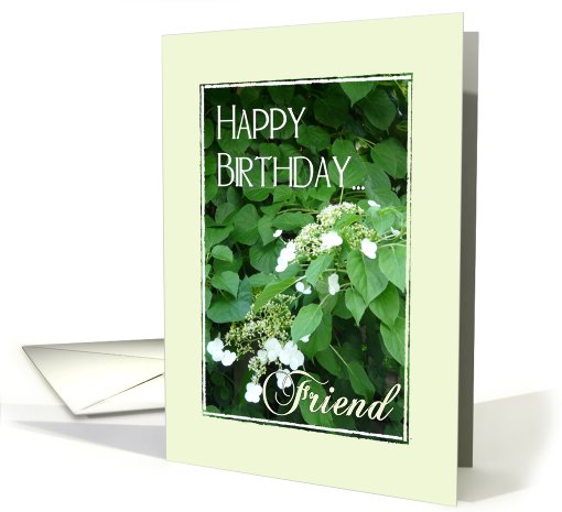 Happy Birthday Friend! card (496069)
