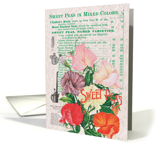 Sweet Peas in Mixed Colors All Occasion Vintage card (1479538)