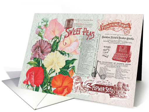 Sweet Peas Flower Seeds All Occasion Vintage card (1479540)