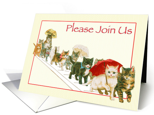 Kitties Walking Together a Group Vintage All Occasion Invitation card