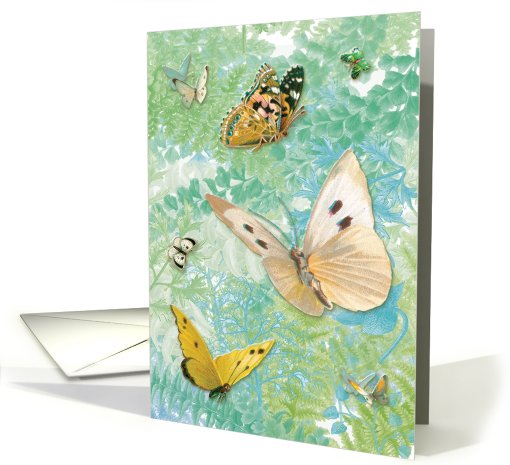 Butterflies in the Fern Garden card (260154)