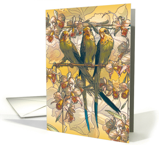 Parakeets card (267907)