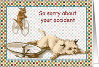 Sorry about your Accident card