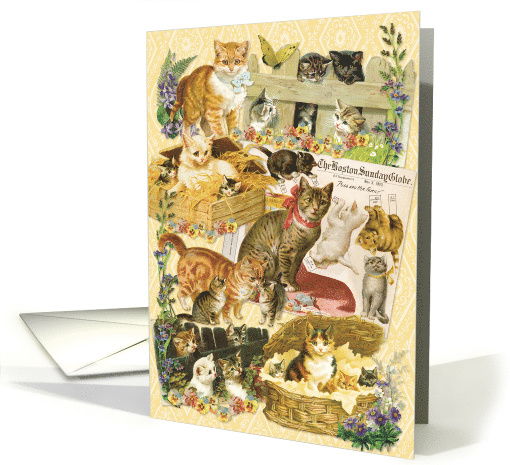 Kitty World All Occasion Vintage card (661007)