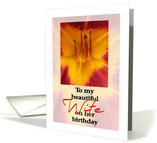 Birthday Daylily Wife card (827285)