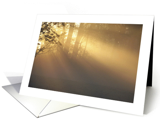 Blank Sunbeams in Fog card (845310)