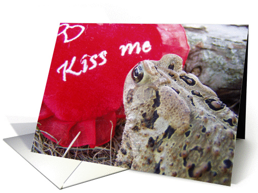 Max the Toad ....kiss me card (266258)