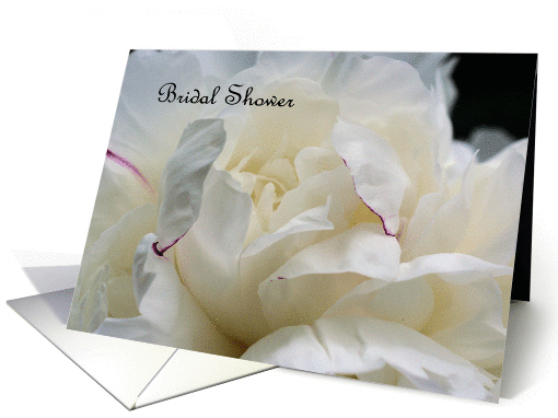 White Peony Flower Photo Bridal Shower Invitation card (329477)