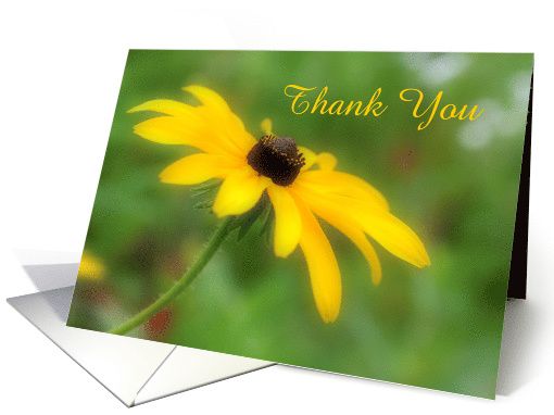 Dreamy Yellow Black Eyed Susan Daisy Flower Thank You card (960565)