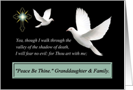 To Granddaughter and Family/Sympathy Peace Be Thine card