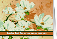 To Grandma - From a Terminally ill Adult Grandchild card