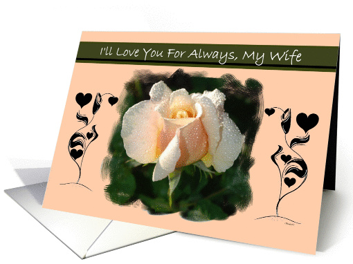 To Wife - Goodbye From a terminally ill Husband card (1179216)