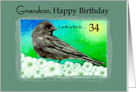 34th / Grandson Birthday - Cassin Finch / Carpodacus cassinii card