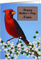 Nana / Happy Mother’s Day - Painted Red Cardinal card