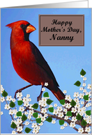 Nanny / Happy Mother’s Day - Painted Red Cardinal card