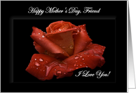 Friend / Happy Mother’s Day - Painted Red Rose card