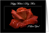 Mom / Happy Mother’s Day - Painted Red Rose card