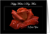 Mum / Happy Mother’s Day - Painted Red Rose card