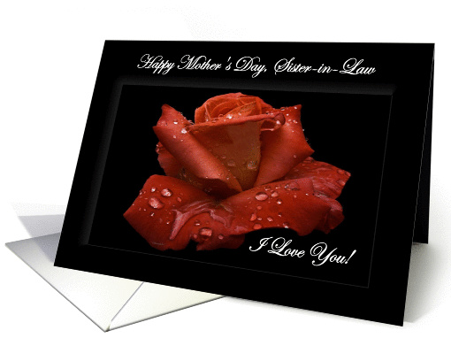 Sister-in-Law / Happy Mother's Day - Painted Red Rose card (1234688)