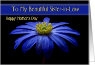 Sister-in-Law / Happy Mother’s Day - Painted Blue Daisy card