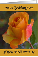Goddaughter / Mother’s Day - Yellow Painted Rose card