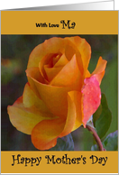 Ma / Mother’s Day - Yellow Painted Rose card